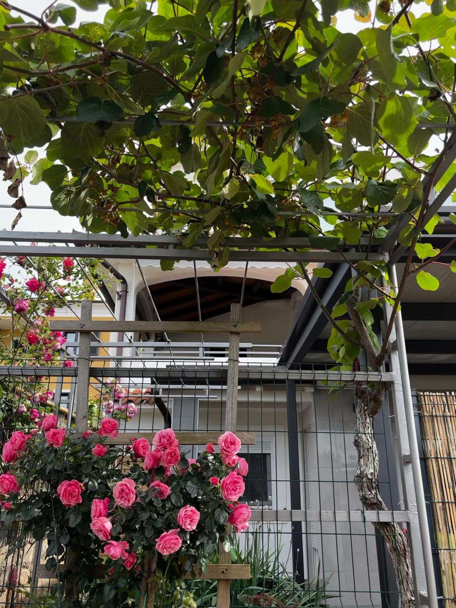 Apartmani Rozi Umag Luaran gambar